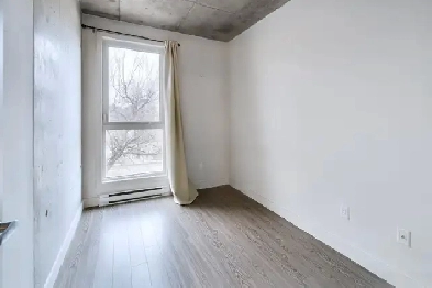 Grand 1 chambre   den - boul. Maisonneuve - Électros inclus Image# 8