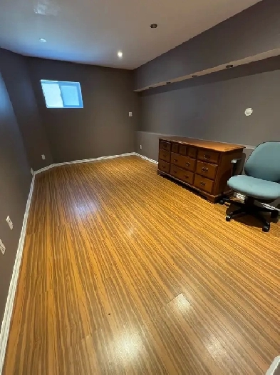 Large species room in the walkout basement Image# 2