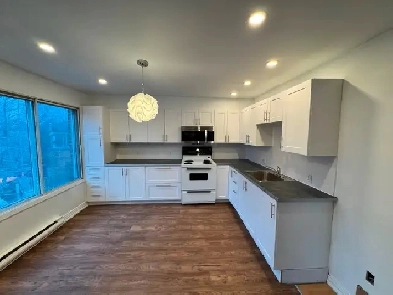 Grand 5 1/2 avec beaucoup de lumière naturelle, tout rénové Image# 1