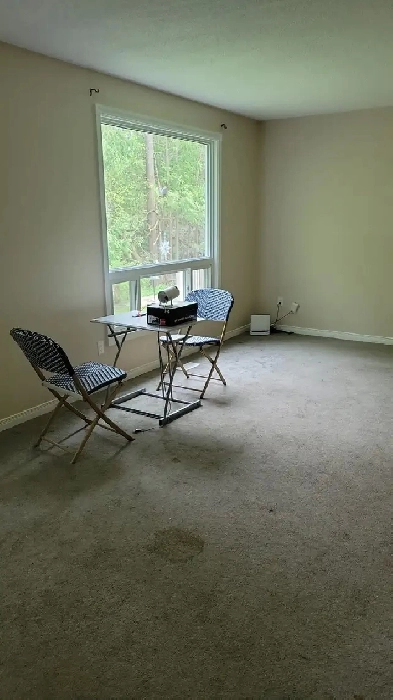 One bedroom for rent Image# 1