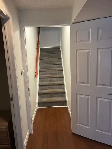 2 bedroom walkout basement apartment for rent in Kanata Image# 2