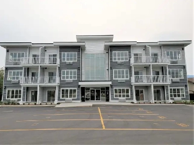 York Apartments #103 Image# 7