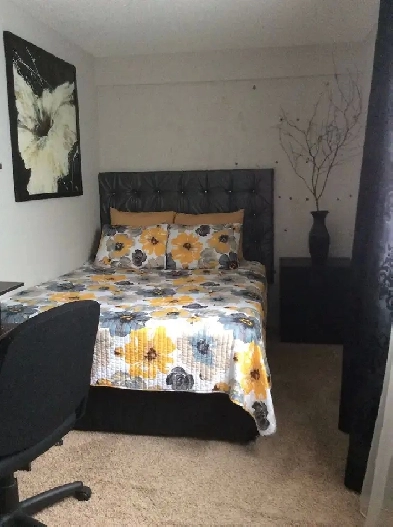 Room for female in Edgemont, avail July 16 Image# 1