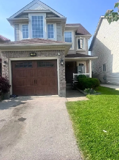 Room available for rent in a house Image# 2