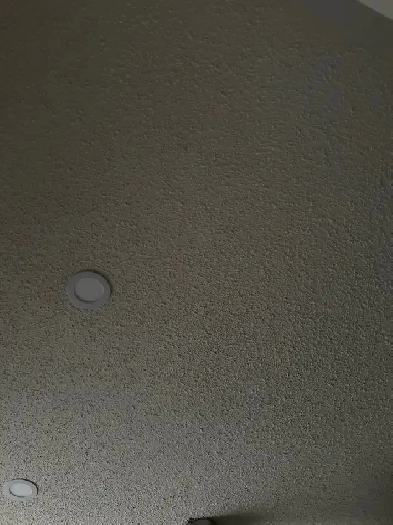 in Waterloo room for rent Image# 1