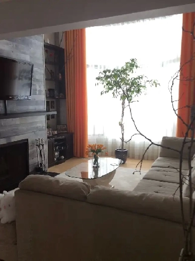 Room in Edgemont avail July 16, for female only Image# 3