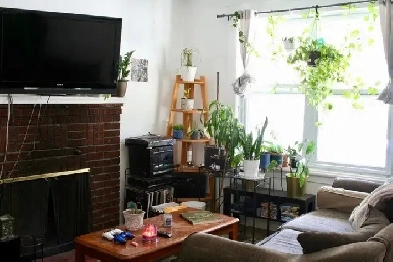 Carleton University 3 Bedroom Apartment Image# 7
