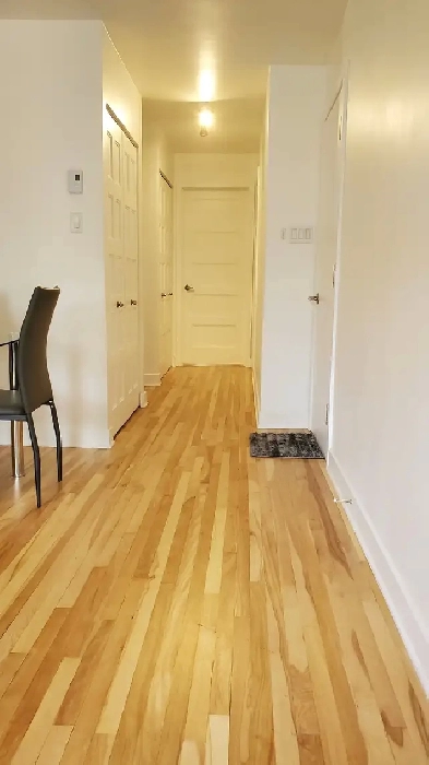 Grand 3 1/2 complètement rénové meublé toutes charges comprises Image# 1