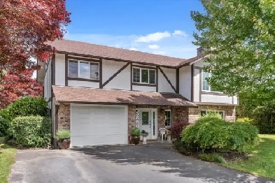 45886 Lake Drive Image# 4