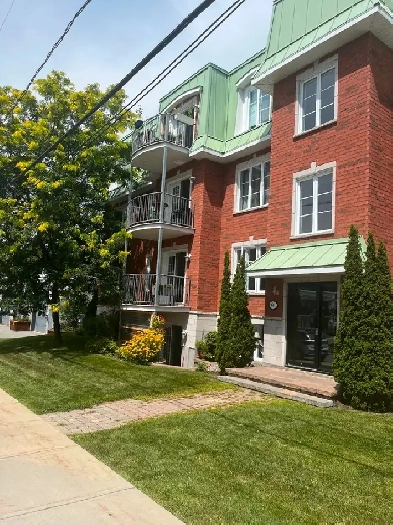 Beau grand 4 1/2 Image# 6