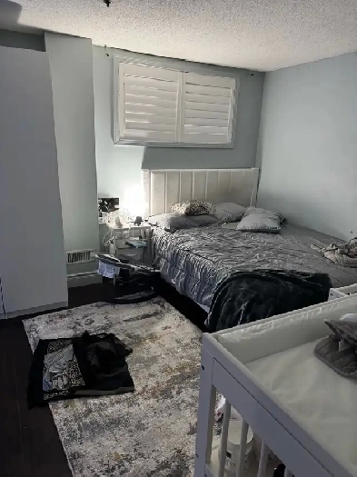 1 bedroom renovated Basement Suite Image# 1