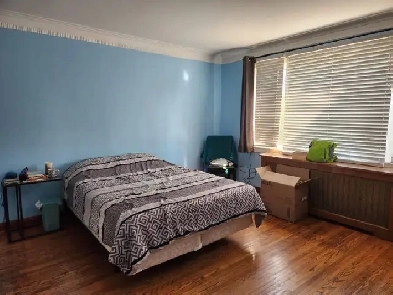 Large room at bathurst bloor, 2 minutes from TTC   grocery Image# 2