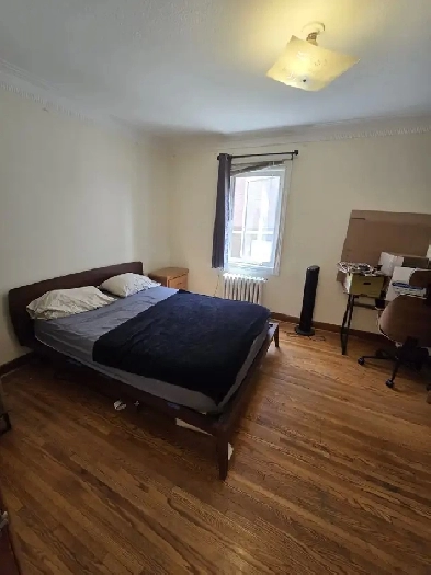 Room at bathurst & bloor, INCREDIBLE LOCATION Image# 5