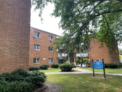 Bachelor Apartment - Wyandotte Street East Image# 1