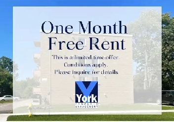 Renovated 2 Bedroom Apartment on Queen St. Image# 1