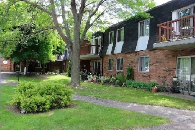 Ridgetown 2 Bedroom - 10 James Lane Image# 3