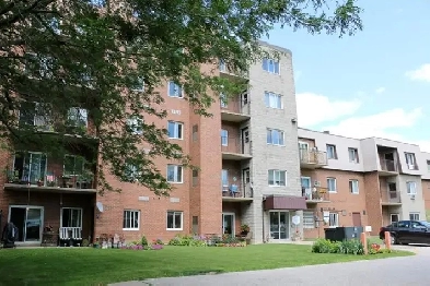 Ridgetown 2 Bedroom - 16 Marsh St Image# 2