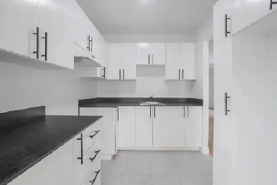 LOGEMENT,RÉNOVÉ,4 1/2, MC MASTERVILLE Image# 7