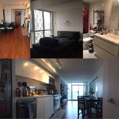 Furnished 1 bed   1 bath condo unit at Fort York/Spadina Ave. Image# 9