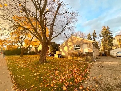 Summer Special Uptown Waterloo! 595 All-Inclusive! Image# 1