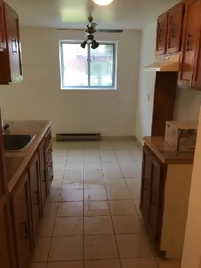 apartment for rent Image# 8