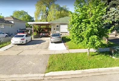 One Bedroom Basement for Rent Image# 1
