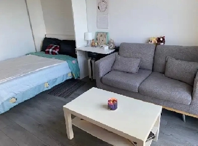 FURNISHED STUDIO APTO -1900 SIMCO ST. NORTH AVAILABLE JULY 1. Image# 8