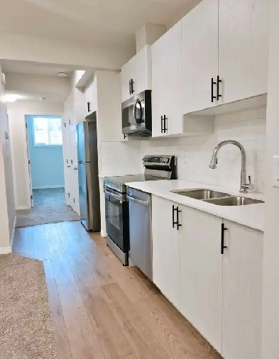 2 Bedroom 1 Bath Basement Suite with Lake Access Image# 1