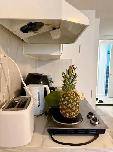 Rental Bachelor Basement Image# 3