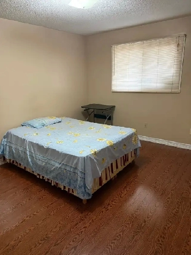 Room For Rent Image# 1