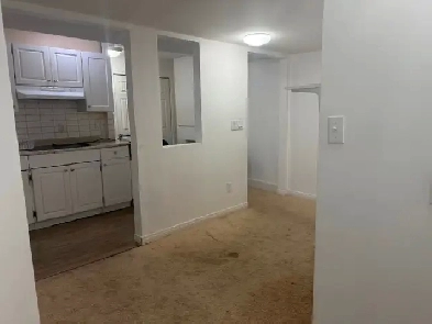 Kabayan Basement for Rent $1400 all inclusive Image# 1