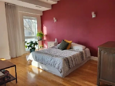 Condo à louer 3 1/2 (loft) Image# 1