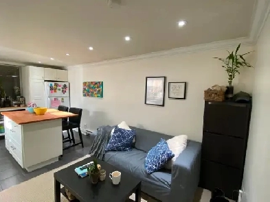 1-bedroom private basement apartment on Danforth, Riverdale. Image# 10