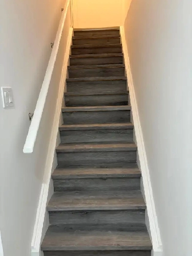 2 bedrooms basement for rent Image# 4