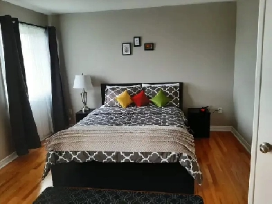 Furnished Room as Sharing accommodation from 15 June Image# 3