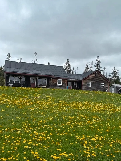 Home and Property For Sale Image# 1