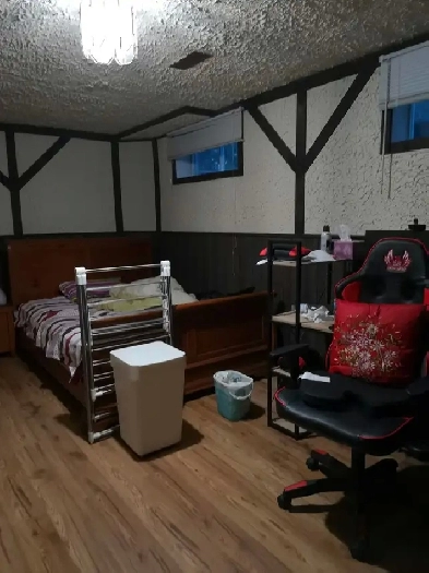 Whole walk out basement for rent Image# 3