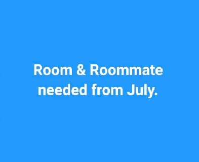 Room & Roommate needed Image# 1