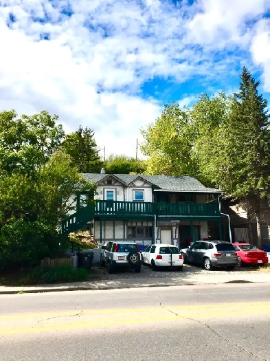 1 Bed/1 Bath 4-plex suite in Ramsay/lnglewood for rent. Image# 6