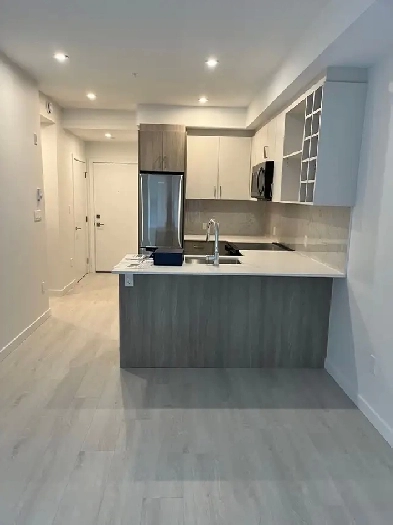 One bedroom with flex new apartment for rent Image# 6
