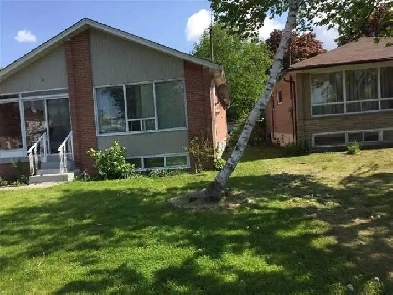 house for rent Image# 8