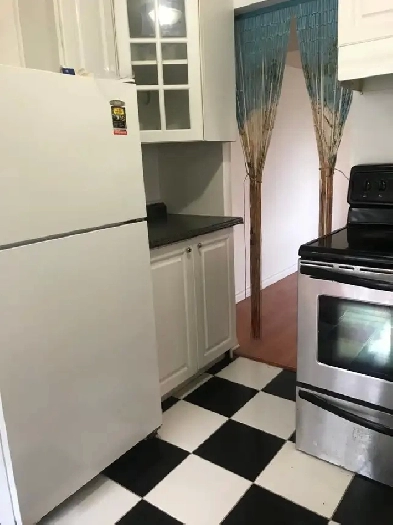Appartement 3 1/2 à louer Montréal cartierville Image# 5