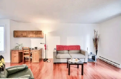Charmant Condo Grand 3 1/2 Centre Ville Image# 6
