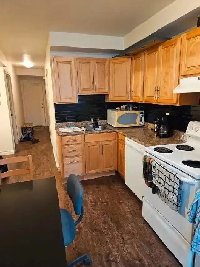 4 1/2 à louer dans quartier NDG Image# 1