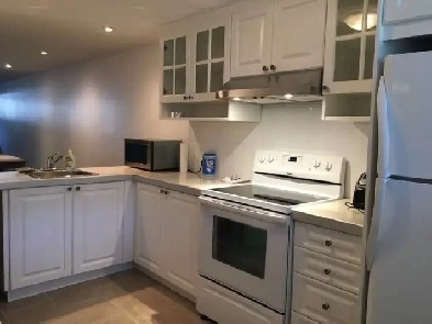 Rosemont petite-patrie, Grand 4 1/2 avec stationnement Image# 1