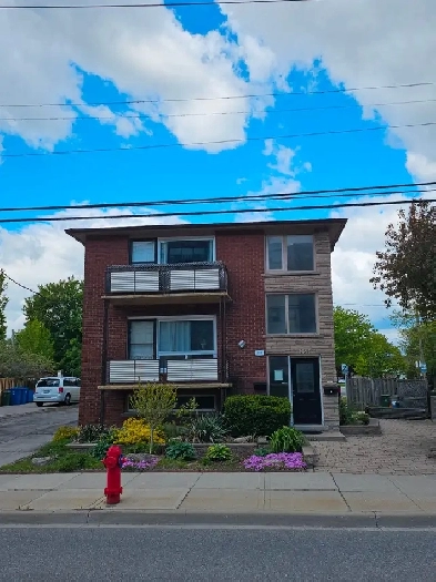 1 Bedroom basement apartment in central Hamilton mountain Image# 1