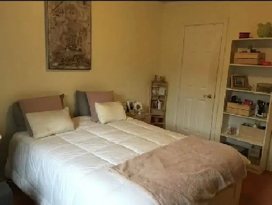 Downtown College&Bathurst 1bedroom with bathroom available July1 Image# 1