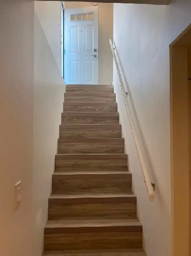 One bedroom legal basement suite in evergreen area for rent