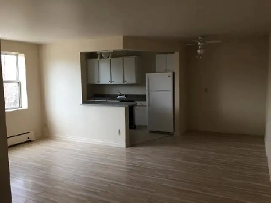 Spacious, renovated 2 bedrm apt close to the hospital Image# 1