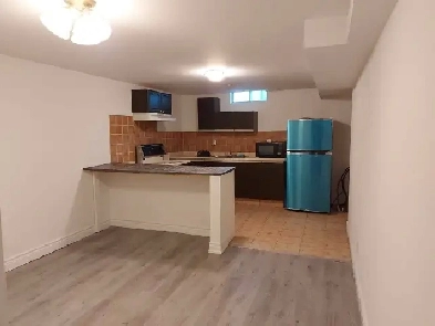 1 bed basement apartment newly renovated washer dryer in unit Image# 1